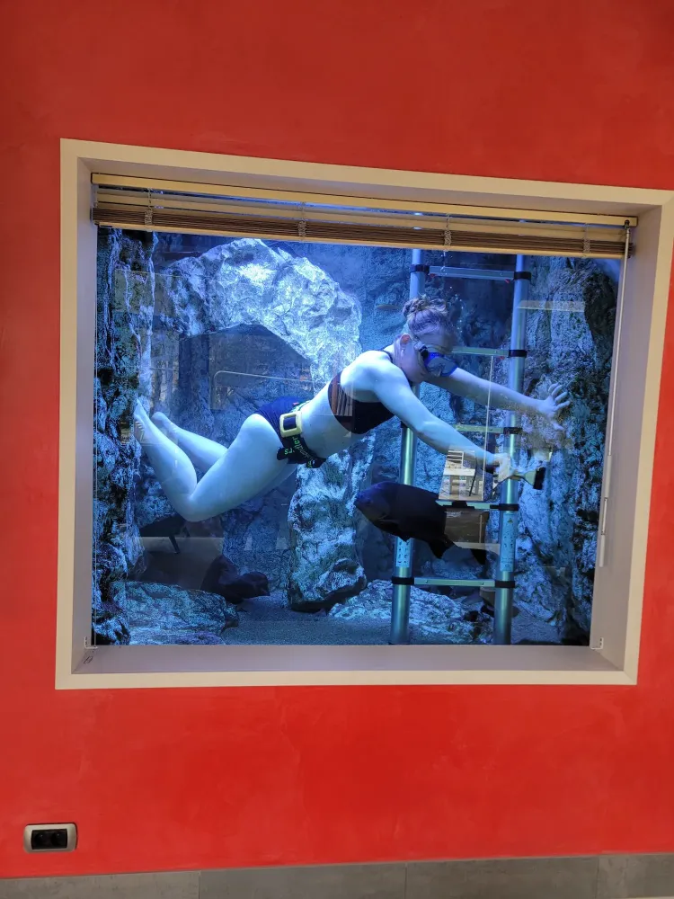 Réparation aquarium à Beaufort-Orbagna